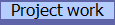 Project work